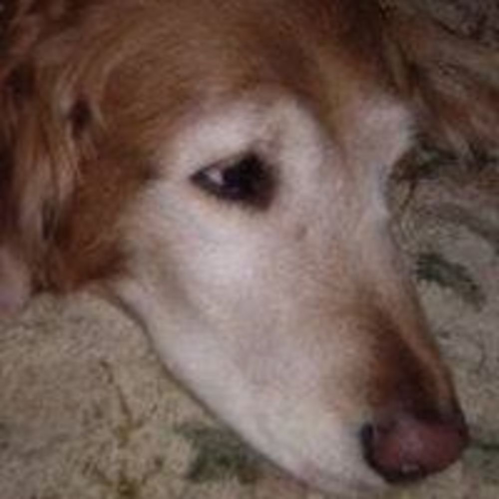 Meet your Posher, Evelyn